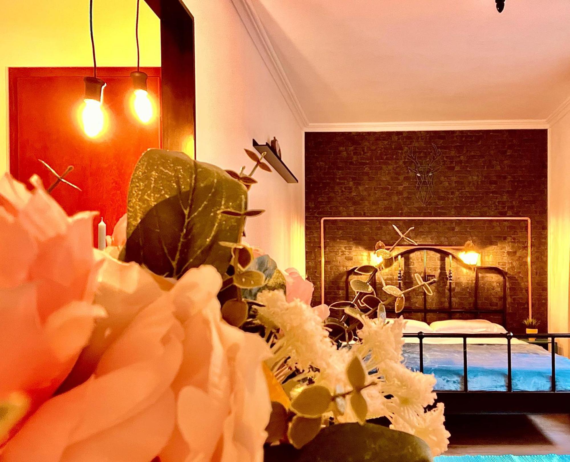 Cozy Hideout - Aparthotel Timisoara